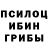 Псилоцибиновые грибы мицелий BACON FAVOURITE
