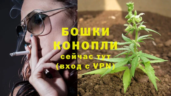 ПСИЛОЦИБИНОВЫЕ ГРИБЫ Волоколамск